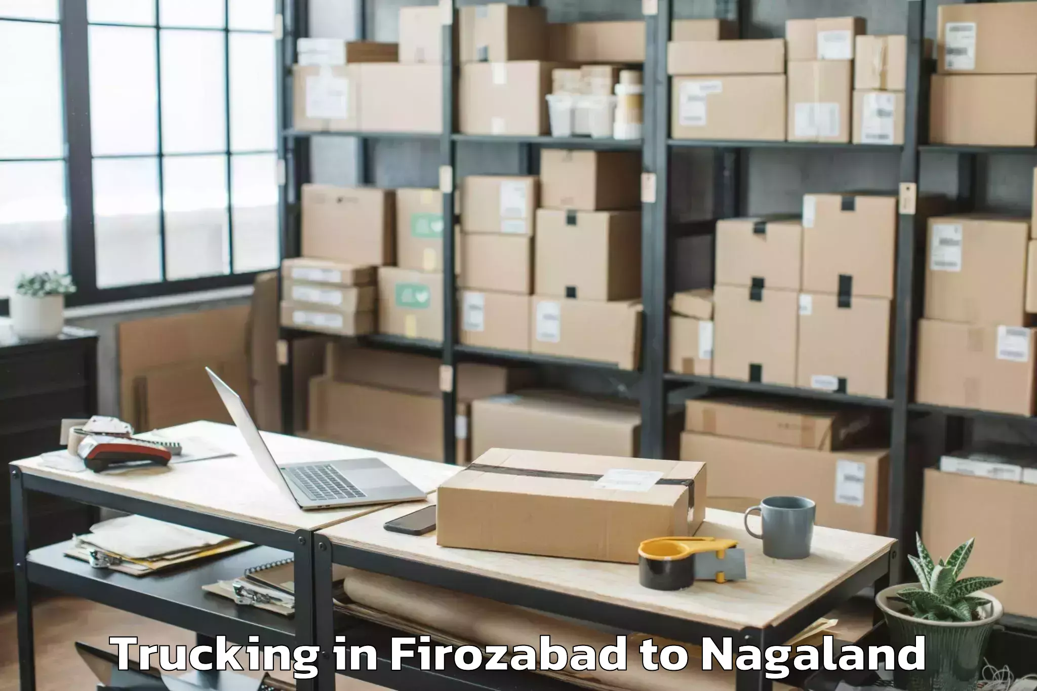 Reliable Firozabad to Pfutsero Trucking